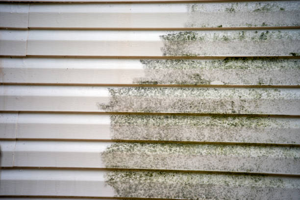 Best Moving and Downsizing Cleanouts  in Kirkwood, MO